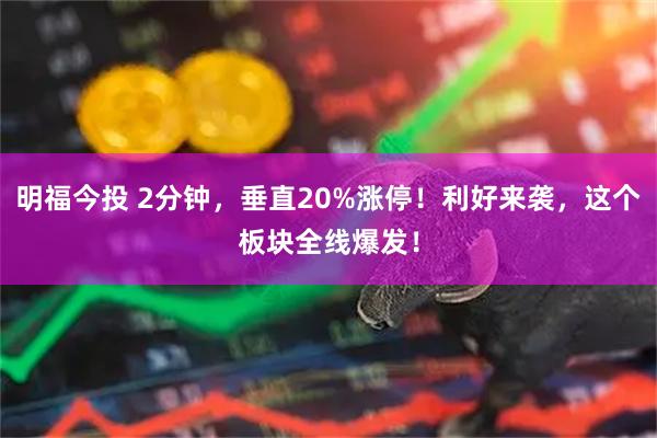明福今投 2分钟，垂直20%涨停！利好来袭，这个板块全线爆发！