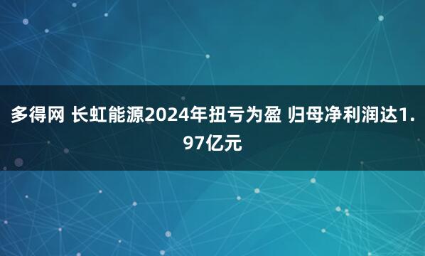 多得网 长虹能源2024年扭亏为盈 归母净利润达1.97亿元
