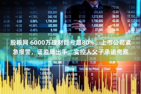 股粮网 6000万理财巨亏超80%，上市公司紧急报警，证监局出手，实控人父子承诺兜底