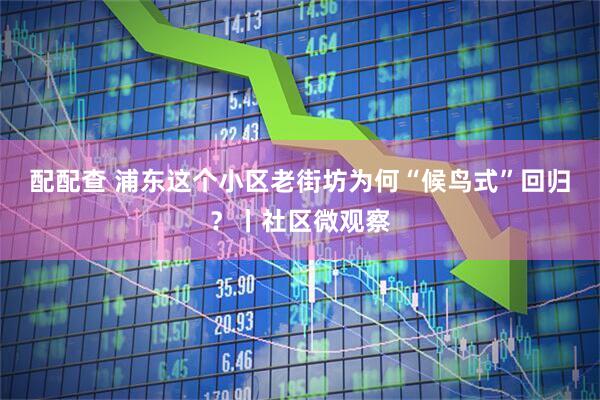配配查 浦东这个小区老街坊为何“候鸟式”回归？丨社区微观察